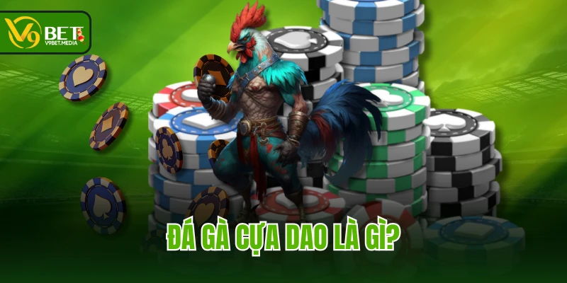 Đá gà cựa dao là gì? Đá gà cựa dao là gì?