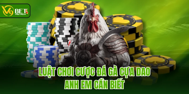 Luật chơi cược đá gà cựa dao anh em cần biết Luật chơi cược đá gà cựa dao anh em cần biết