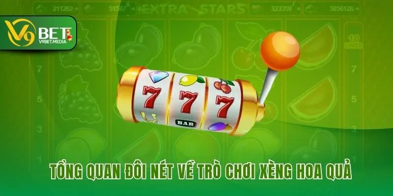 Tổng quan đôi nét về trò chơi xèng hoa quả Tổng quan đôi nét về trò chơi xèng hoa quả
